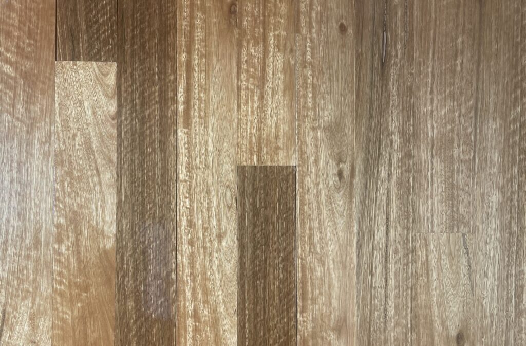 spotted gum timber flooring