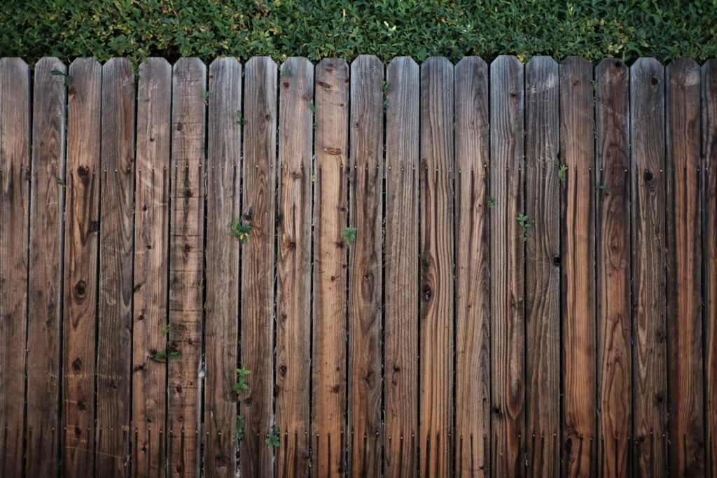 dark coloured and weathered timber fence with a hedge showing above.