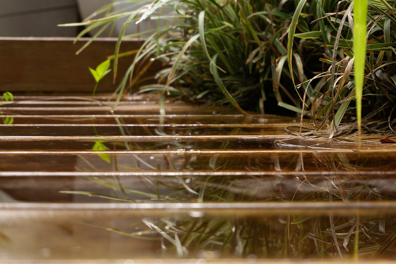 Wet garden timber decking with water reflecting the plants beside the deck.