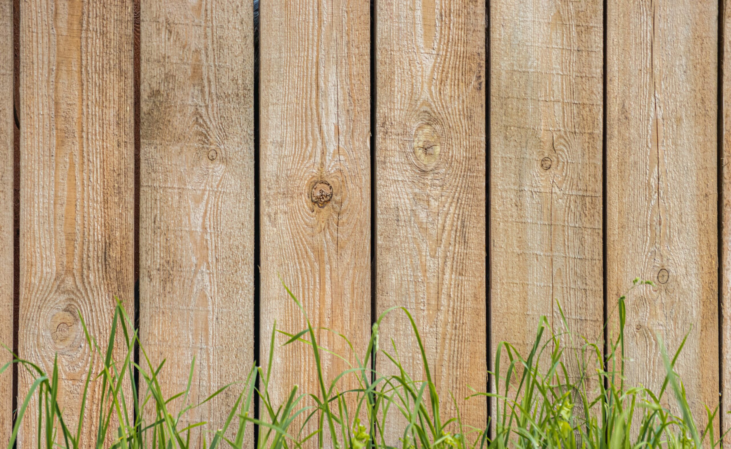natural timber fence with grass beneath