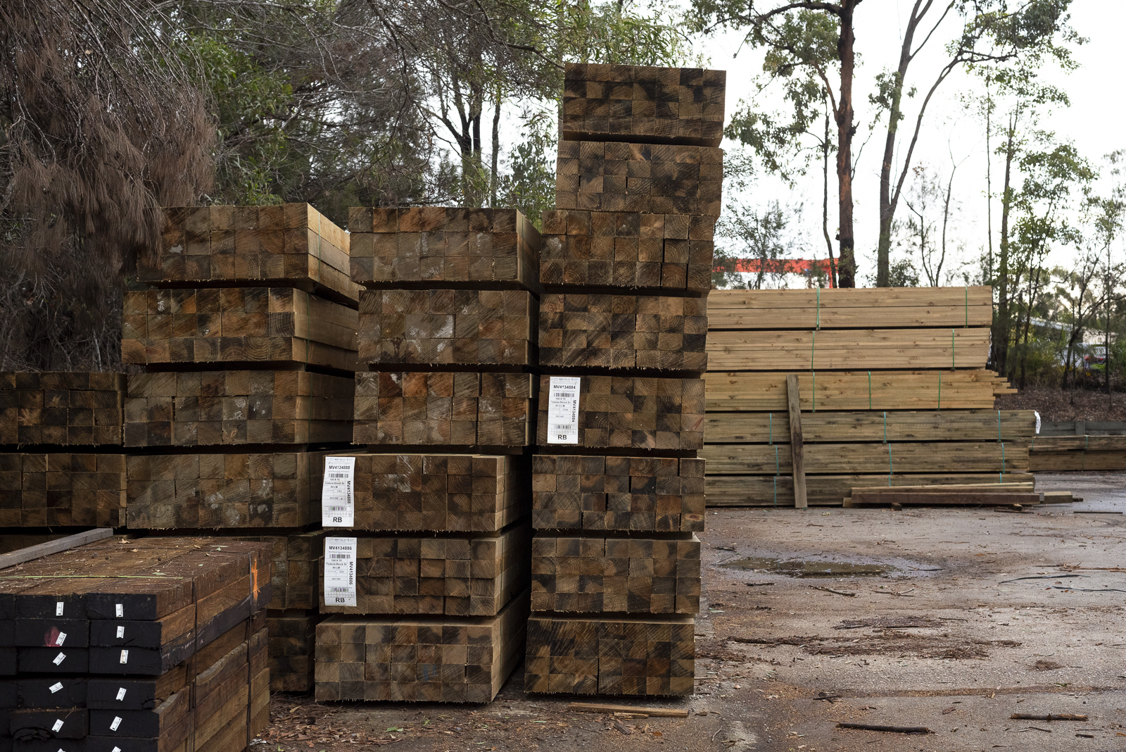 CCA treated pine fence palings at Narangba Timbers Brisbane
