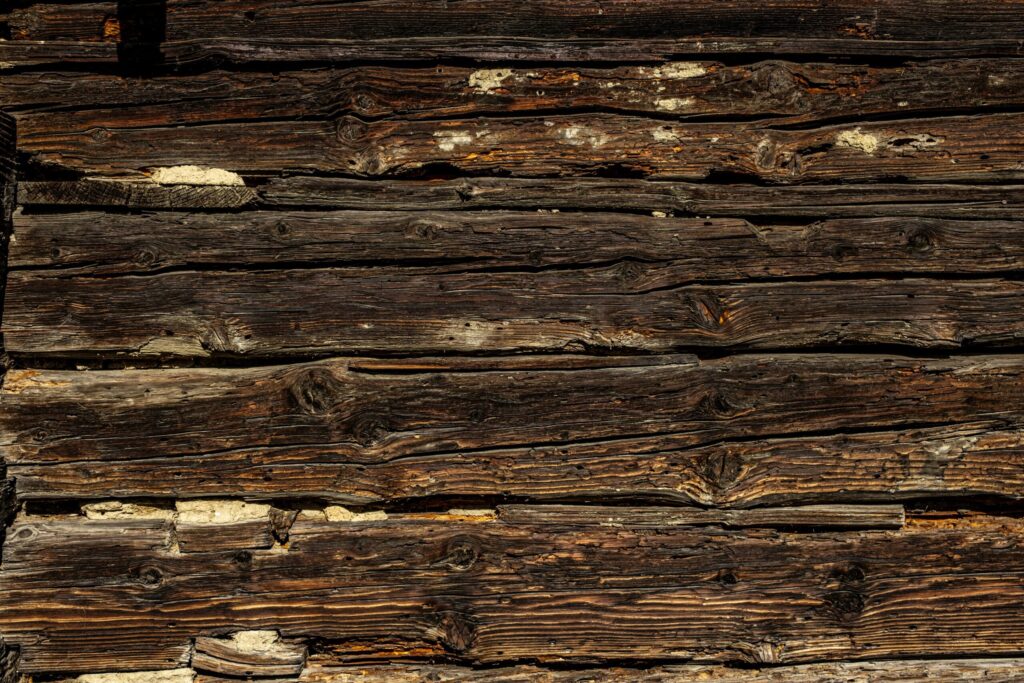 timber planks with termite damage