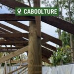 Pine Log H4 - Image 2