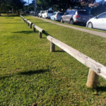 Pine Log H4 - Image 4