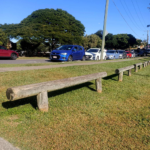 Pine Log H4 - Image 3