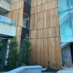 Blackbutt VJ - Image 17