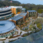 Blackbutt VJ - Image 15