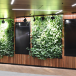 Blackbutt Screening - Image 7