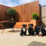 Merbau Pre-Made Screening - Image 6