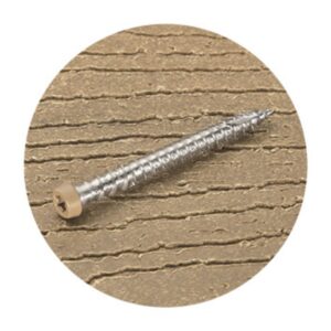 10Gx65 Modwood Timber Decking Screw 305SS Sandy Bay against white background