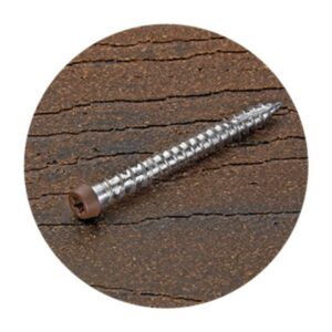 10Gx65 Modwood Timber Decking Screw 316SS Koko Brown against a white background