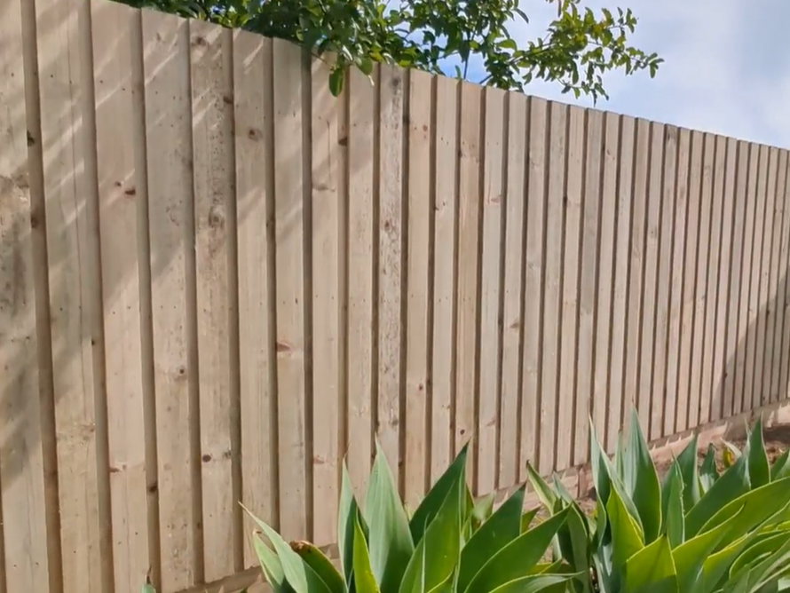 Timber Fence using Pine palings