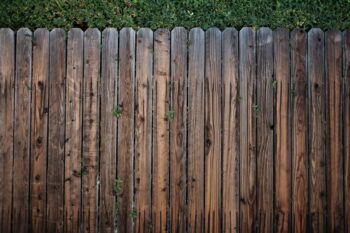 "Timber Fencing vs Colorbond: You Decide"