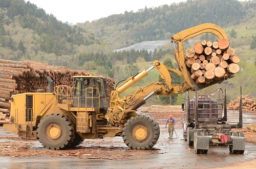 Timber Supplier Environmental Responsibilities