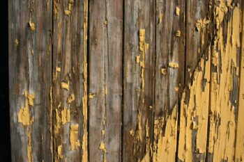 "Top tips to extend the life of your timber fence"