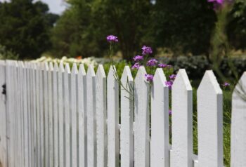 "Are Timber Picket Fences Making a Comeback?"