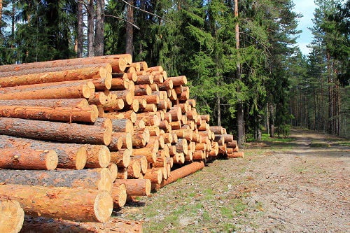 Uses for Pine Logs