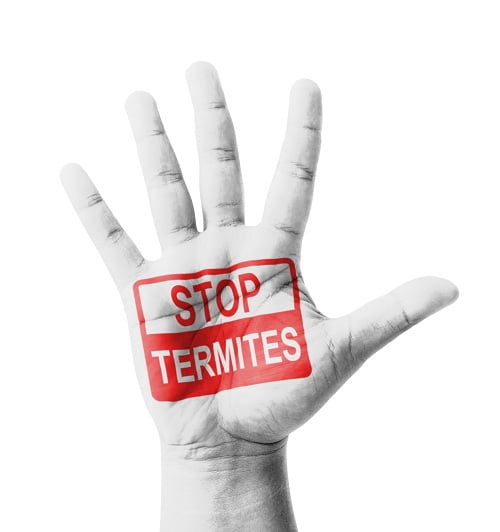 Keep Your Timber Termite Free