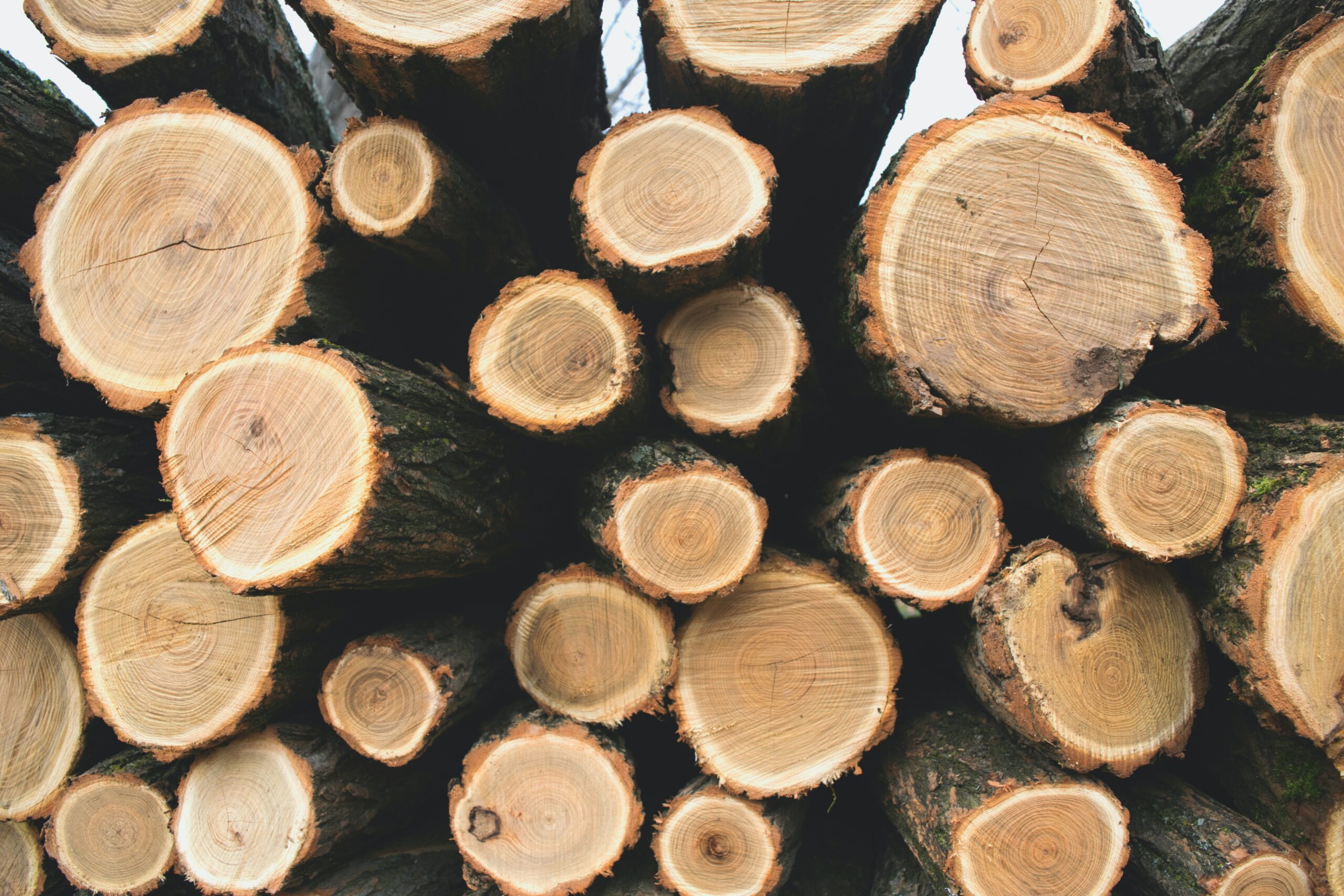 round timber logs