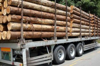 "Megatrends in Australian Timber: Part 1"