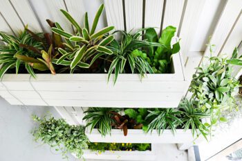 "Vertical Garden Designs to Liven up Your Landscaping"