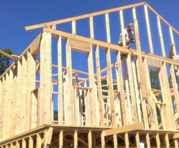 "What is the best timber for framing a house?"